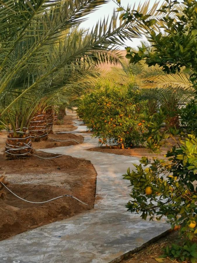 Almazham Camp Resort Al Ula Exterior photo